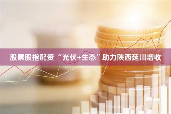 股票股指配资 “光伏+生态”助力陕西延川增收