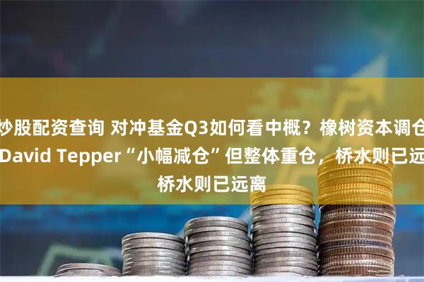 炒股配资查询 对冲基金Q3如何看中概？橡树资本调仓，David Tepper“小幅减仓”但整体重仓，桥水则已远离