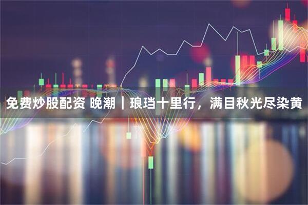 免费炒股配资 晚潮｜琅珰十里行，满目秋光尽染黄