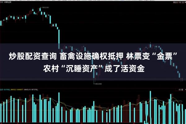炒股配资查询 畜禽设施确权抵押 林票变“金票” 农村“沉睡资产”成了活资金