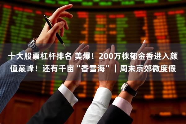 十大股票杠杆排名 美爆!200万株郁金香进入颜值巅峰!还有千亩“香雪海”|周末京郊微度假