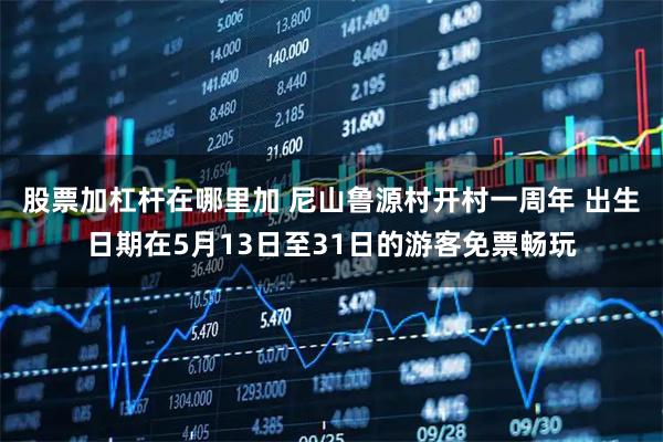股票加杠杆在哪里加 尼山鲁源村开村一周年 出生日期在5月13日至31日的游客免票畅玩